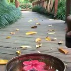 This Chinese dancing water bowl