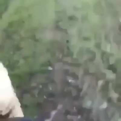 Guy throws an alligator