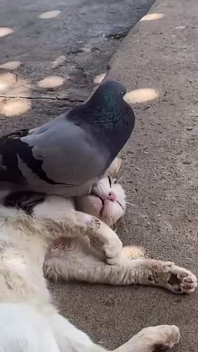 maybe maybe maybe