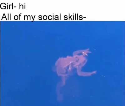 Brain.exe stopped working