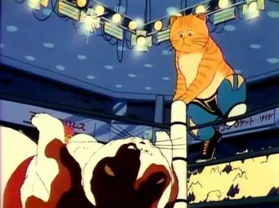Cat fight wrestling