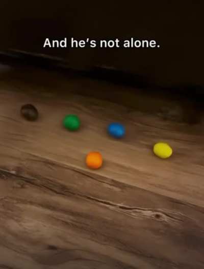 Accidentally dropping an m&m