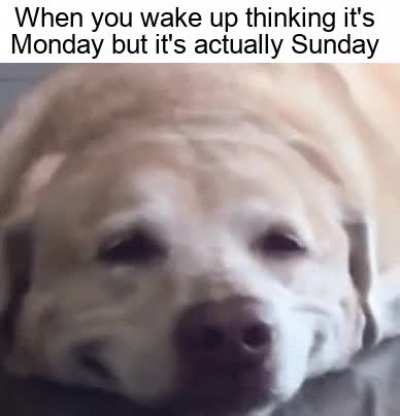 *Proceeds to sleep*..