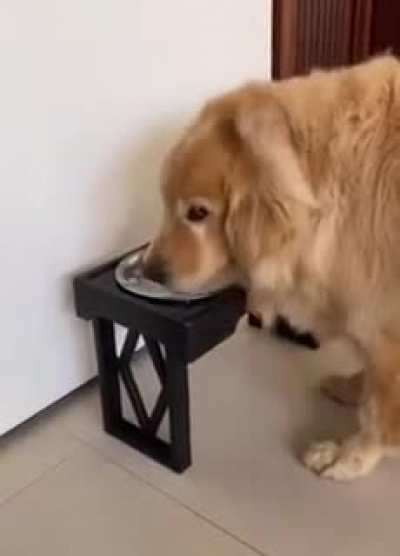 *No floofs were harmed in the making of this video*