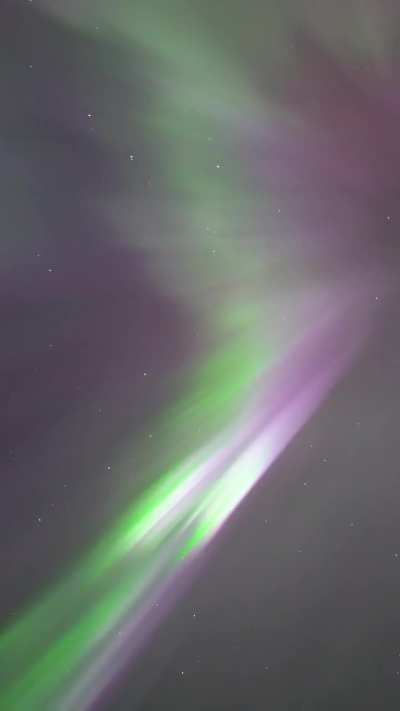 ? I pointed my camera up when the Aurora started to shimmer!?