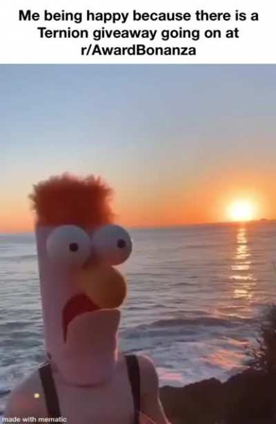 Meep meep
