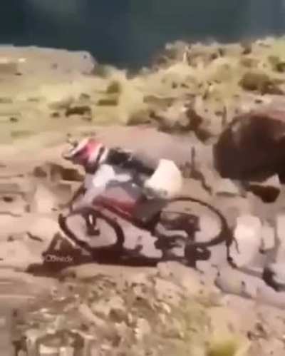 hello bike, see you later