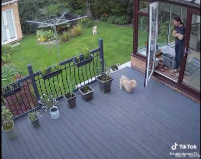 "MOM SAID GET INSIDE"