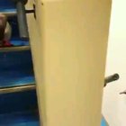 Penguins going down the stairs