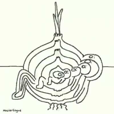 Hmm onion