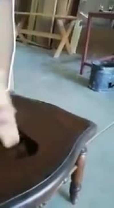 A chair for fun