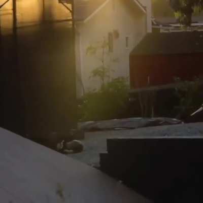 WCGW Not knowing how to do the skate ramp