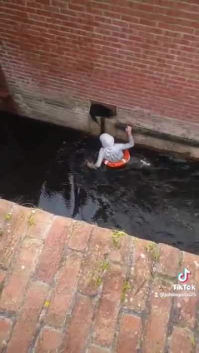 Saving Bruce