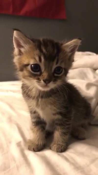 so cute