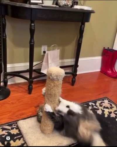 Back foot taps