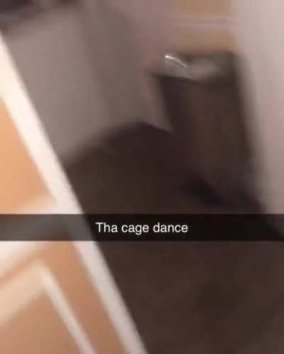 Get in yo cage song