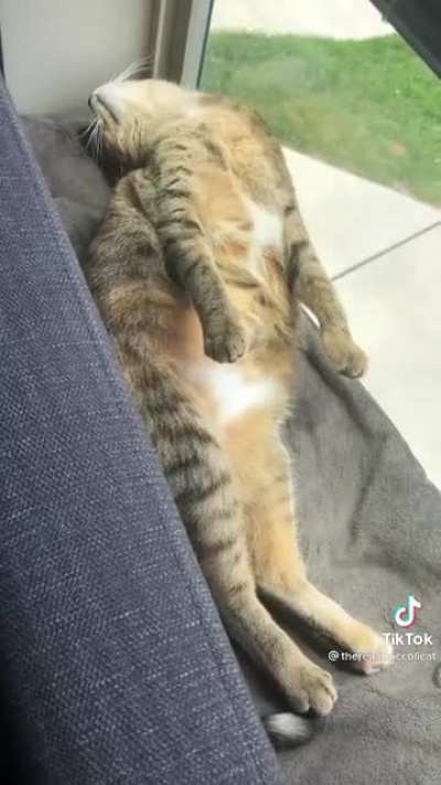 Not dead!!