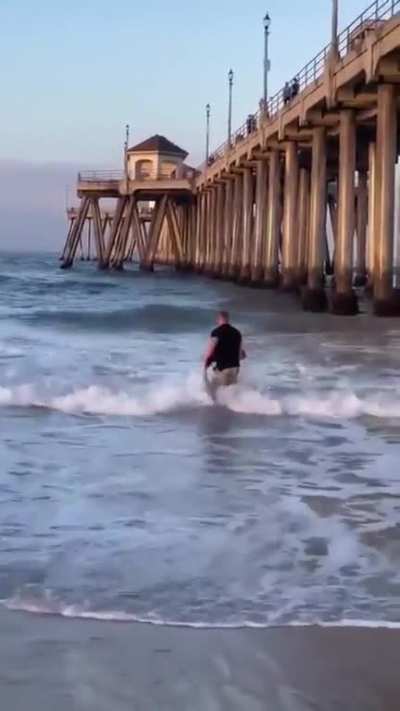 Saving Shark Get Him Back To Ocean