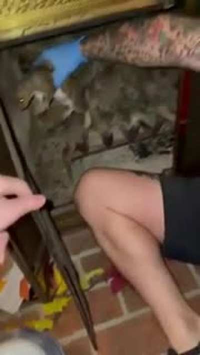 Maybe Maybe Maybe