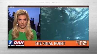 "Don't let transgender penguins fool you" - this actual response from an anchor at One America News Network in response to a zoo not assigning a gender to a newborn penguin