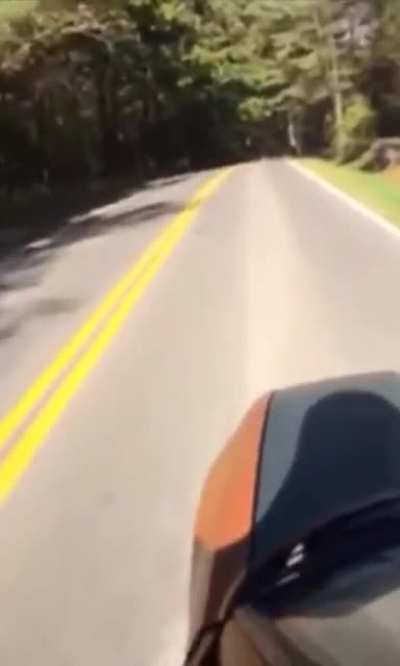 Skateboarding on a dead car ?
