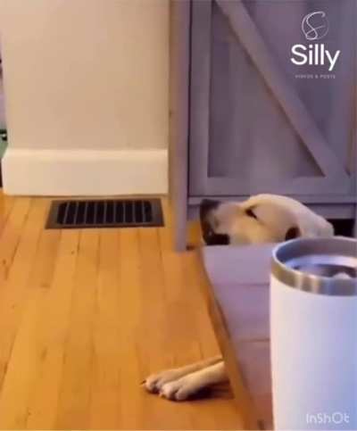 Dog saying “i love you“