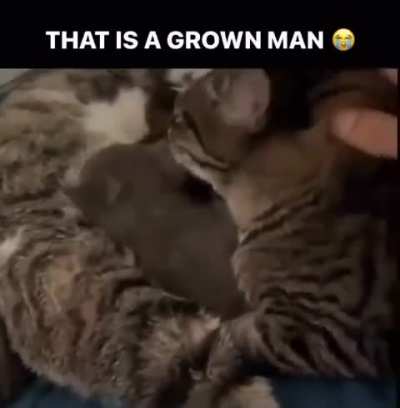 He’s the milk man?