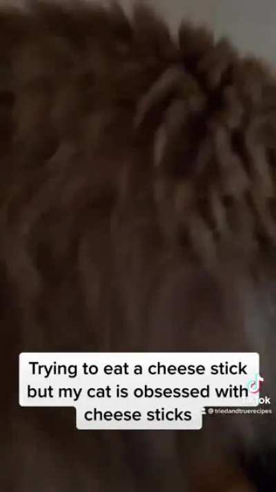 My cat has never met a cheese stick she didn’t try to eat.