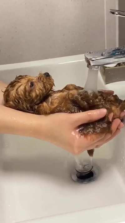 Bro's just chilling