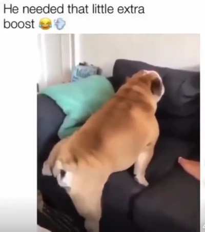 nos ?