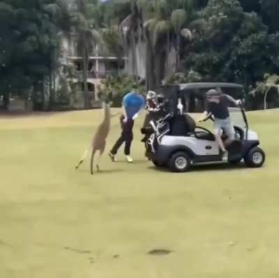 WCGW playing golf in Australia