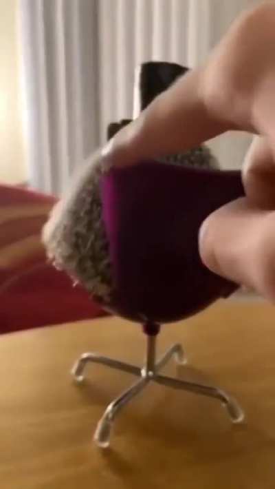 Mr. Hedgehog