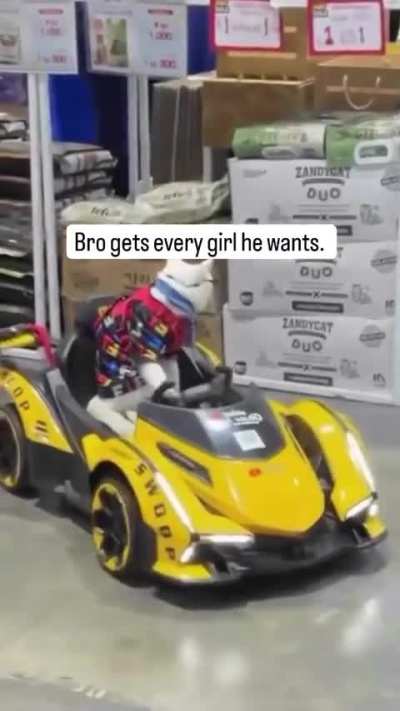 COOL AND HANDSOME CAT DRIVING CAT