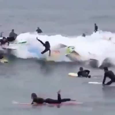Let’s all catch the same wave, what could go wrong?