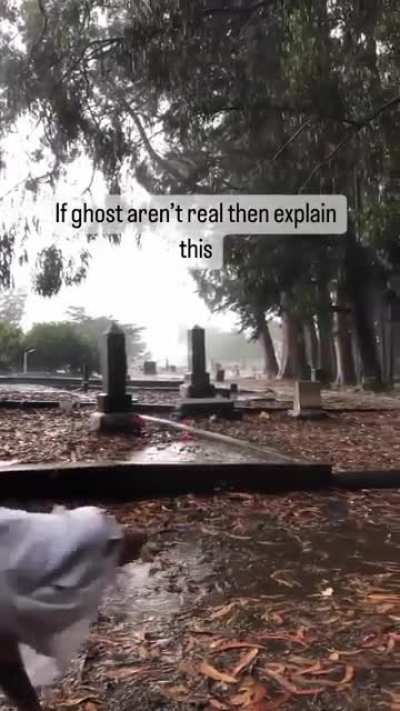 They are real!