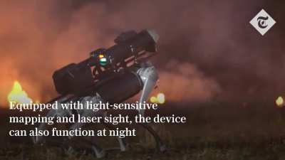 "Thermonator" flame-throwing robot dog available for the public to buy