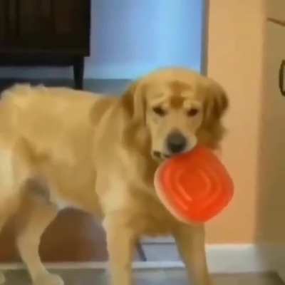 Here is what a guilty face looks like ??