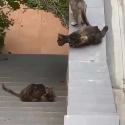 Not leaving anyone behind ??