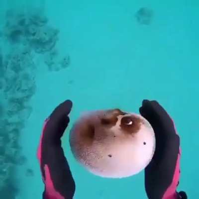 Maybe maybe maybe