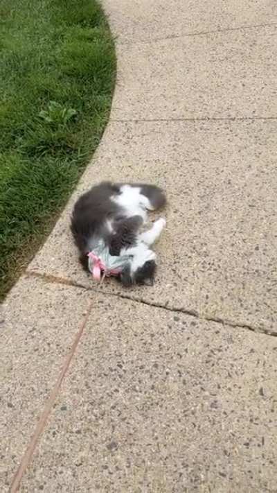 "I'll never go back inside!"