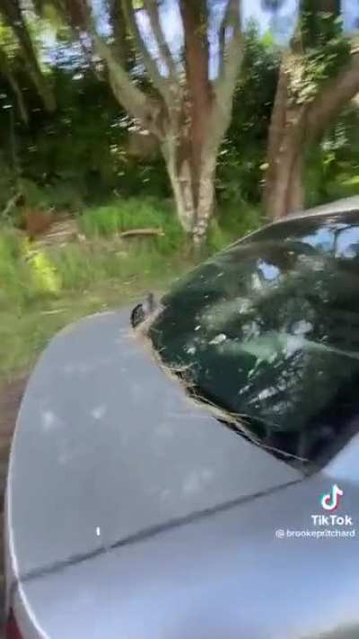 Don’t drink drive