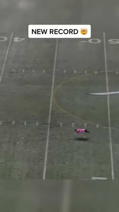 world record of longest catch by a dog in a sporting event