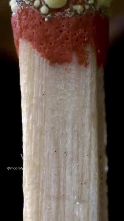 Match lighting in macro