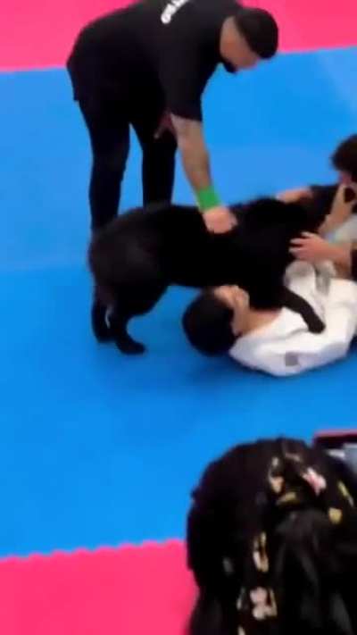 Good boy.
