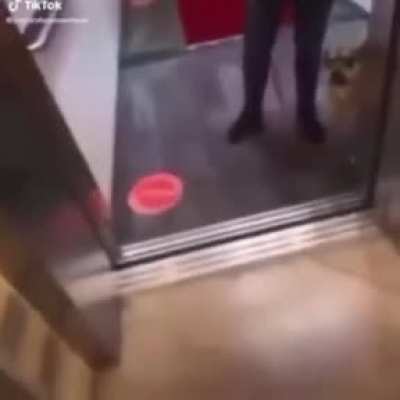 What’s worse is that she blame the dog too