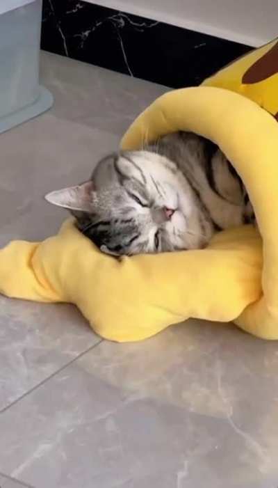 Kittie The Pooh