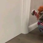 I just saw this and it made my day .