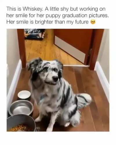 11/10 smile