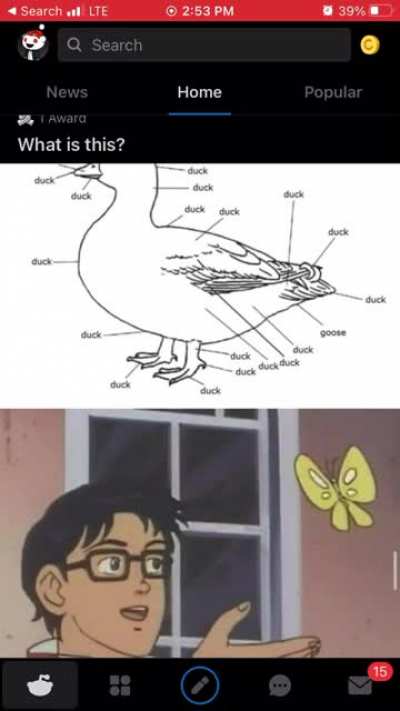 Motherducker