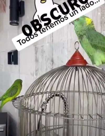 Moises’ dark side